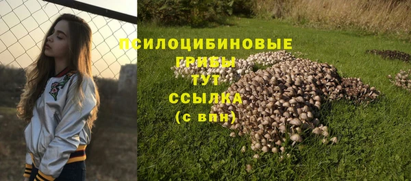 сатива Карталы