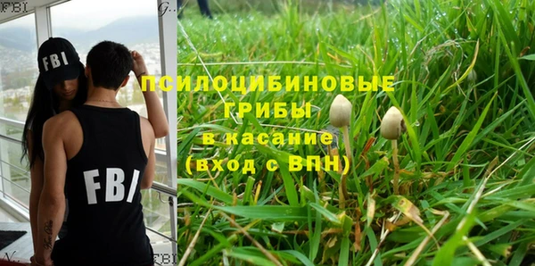 ешки Касимов