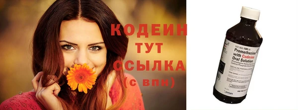 сатива Карталы