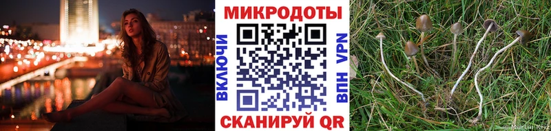 Псилоцибиновые грибы мицелий  Купить  Яхрома 